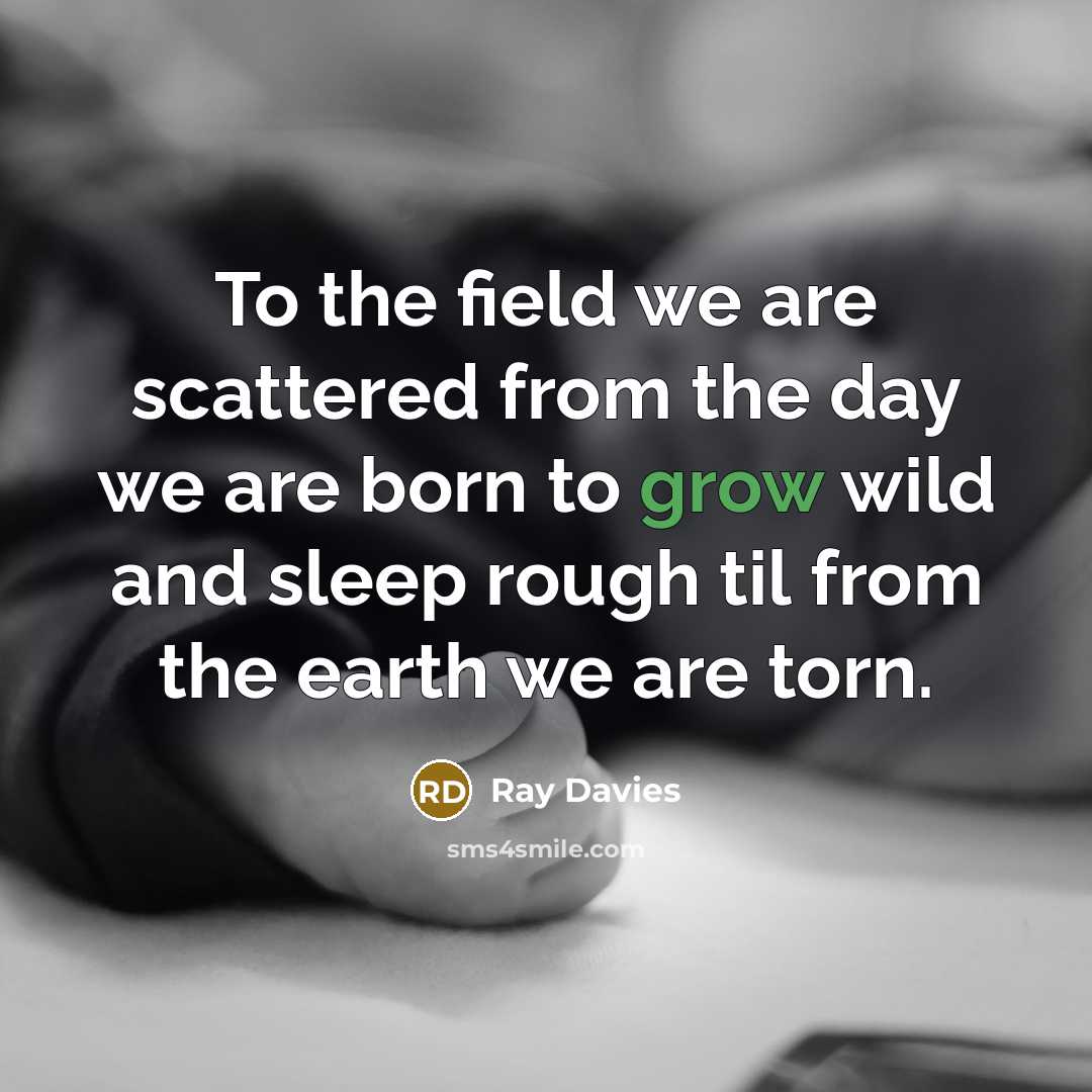 “To the field we are scattered from the day we…” quote by Ray Davies