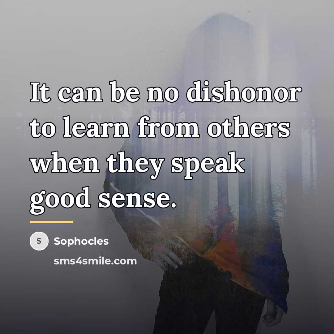 “It can be no dishonor to learn from others when…” quote by Sophocles