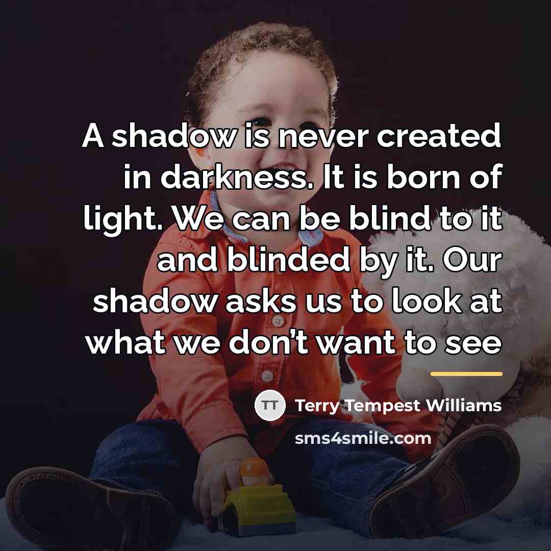“A shadow is never created in darkness. It is born…” quote by Terry Tempest Williams
