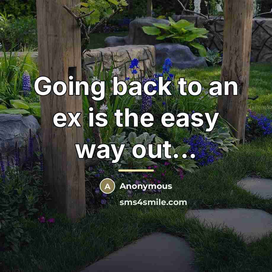 “Going back to an ex is the easy way out...…” quote by Anonymous