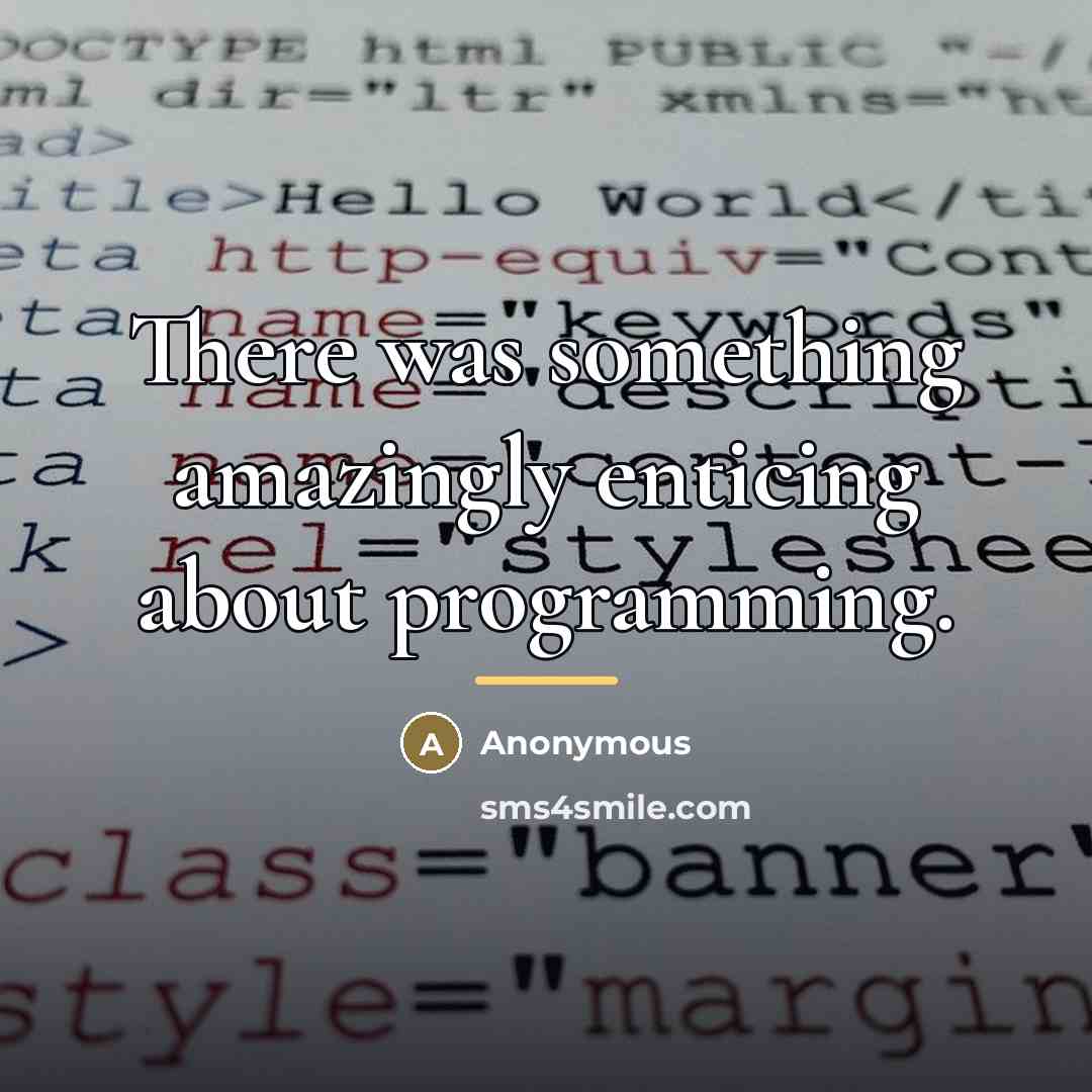 “There was something amazingly enticing about programming.…” quote by Anonymous