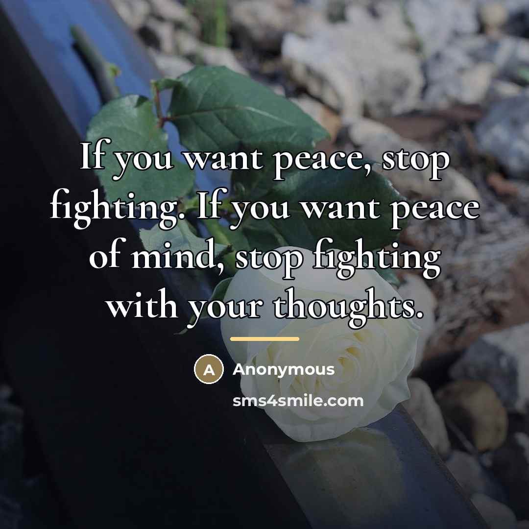 “If you want peace, stop fighting. If you want peace…” quote by Anonymous