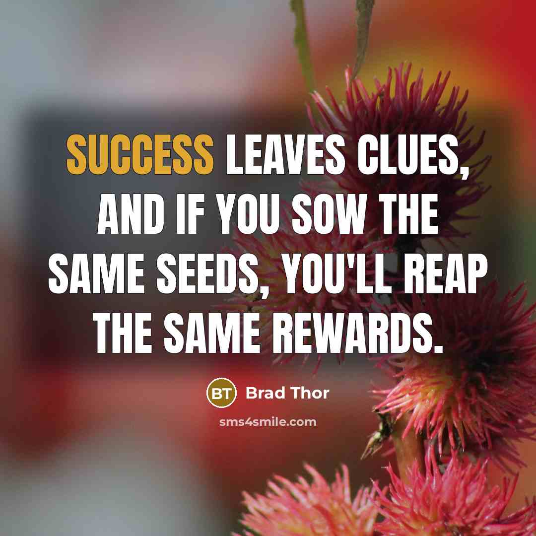 “Success leaves clues, and if you sow the same seeds,…” quote by Brad Thor