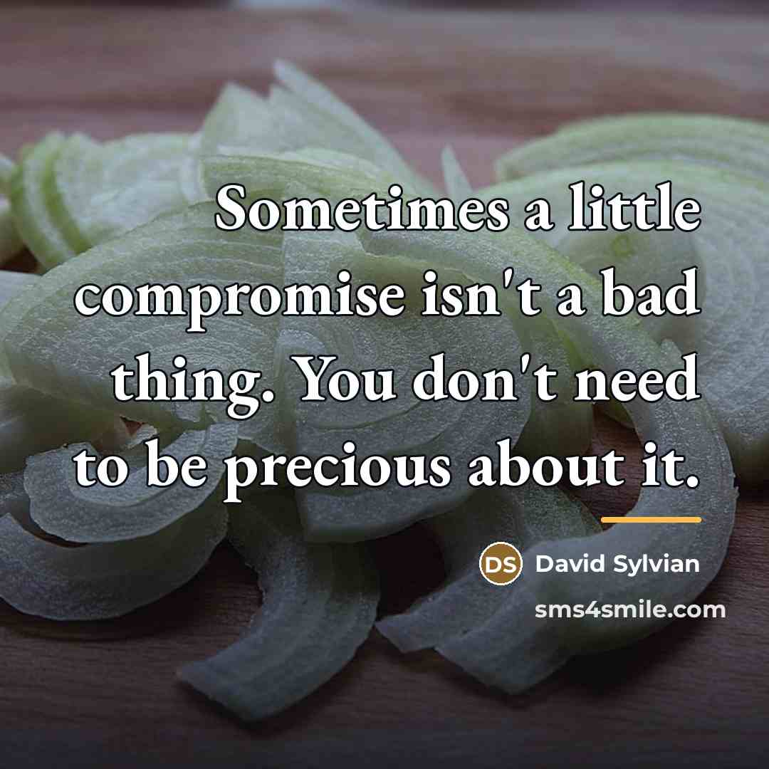 “Sometimes a little compromise isn't a bad thing. You don't…” quote by David Sylvian