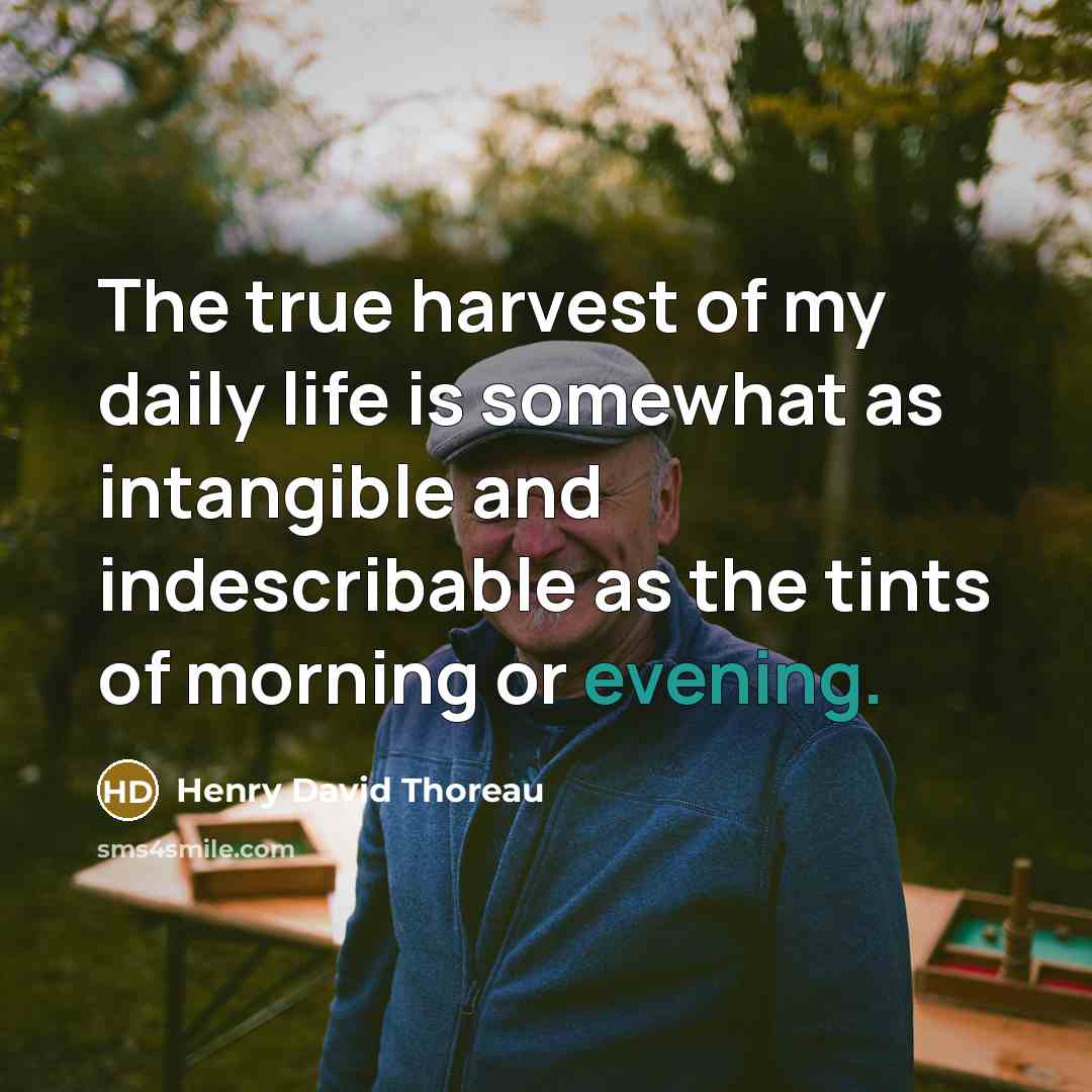 “The true harvest of my daily life is somewhat as…” quote by Henry David Thoreau