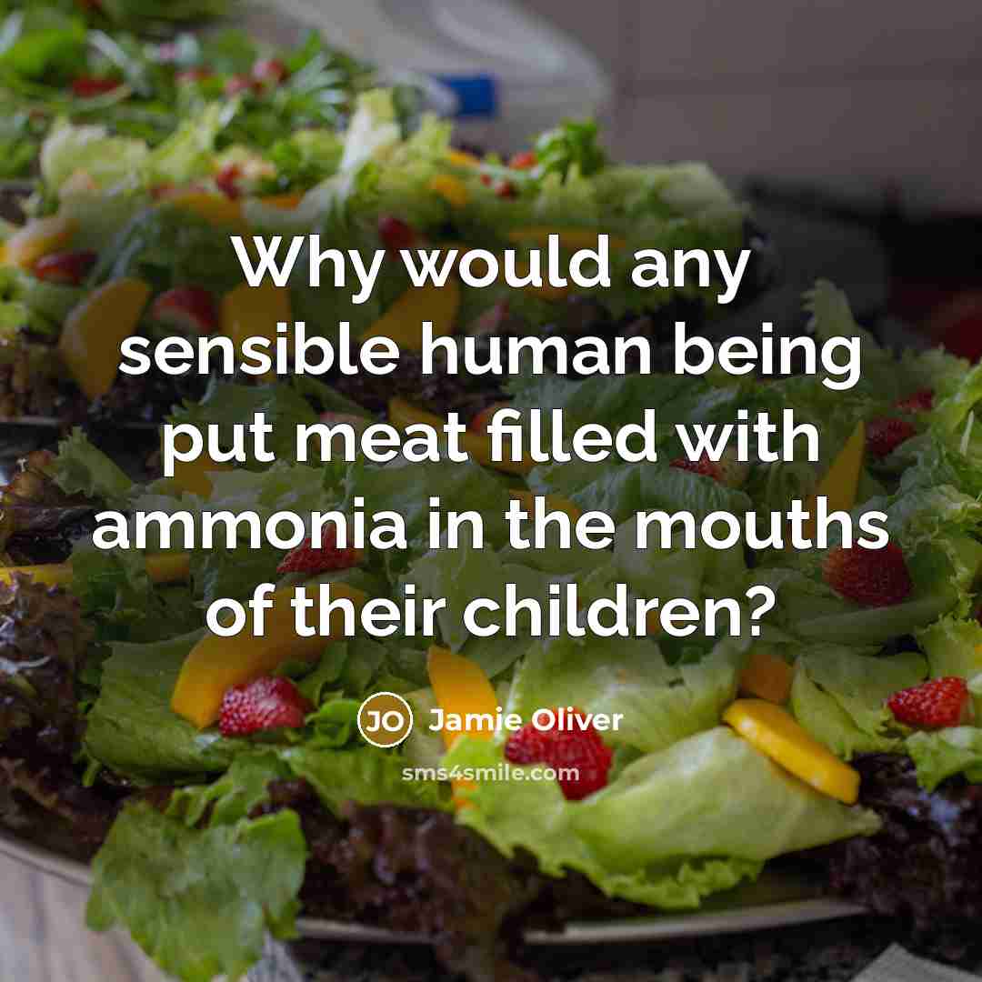 “Why would any sensible human being put meat filled with ammonia in the mouths of their children?” quote by Jamie Oliver
