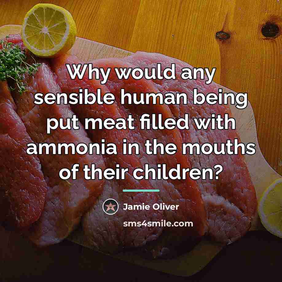 “Why would any sensible human being put meat filled with…” quote by Jamie Oliver