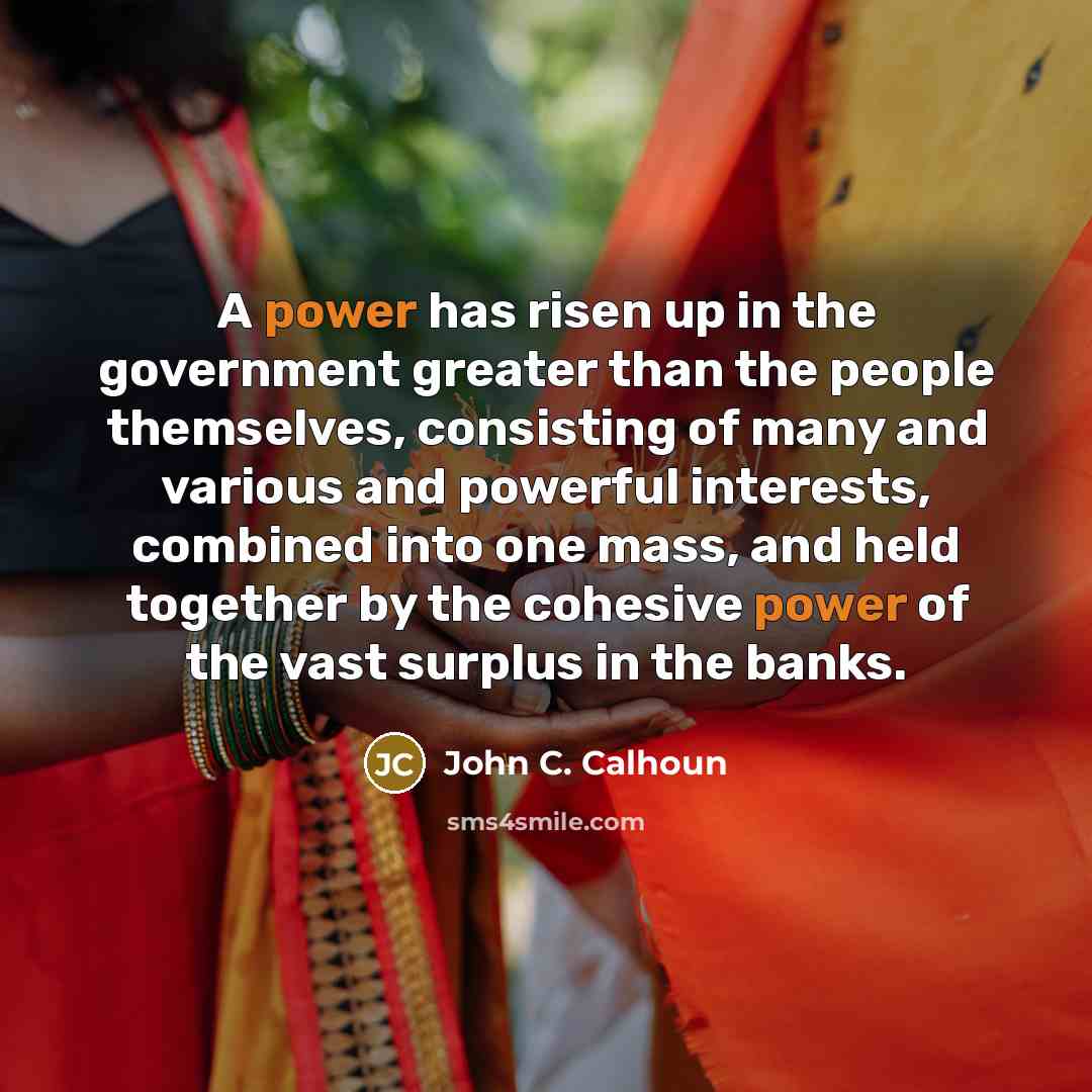 “A power has risen up in the government greater than…” quote by John C. Calhoun
