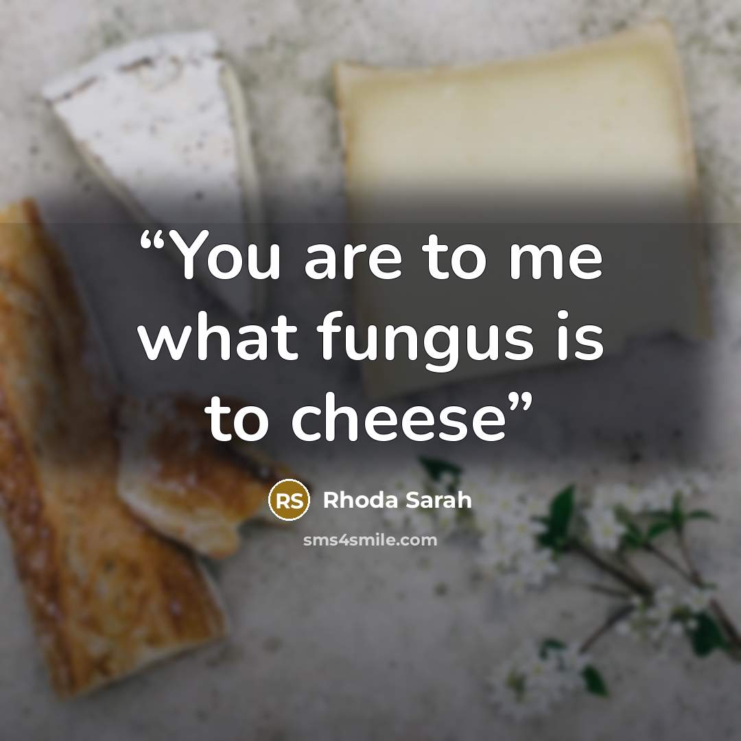 “You are to me what fungus is to cheese” quote by Rhoda Sarah