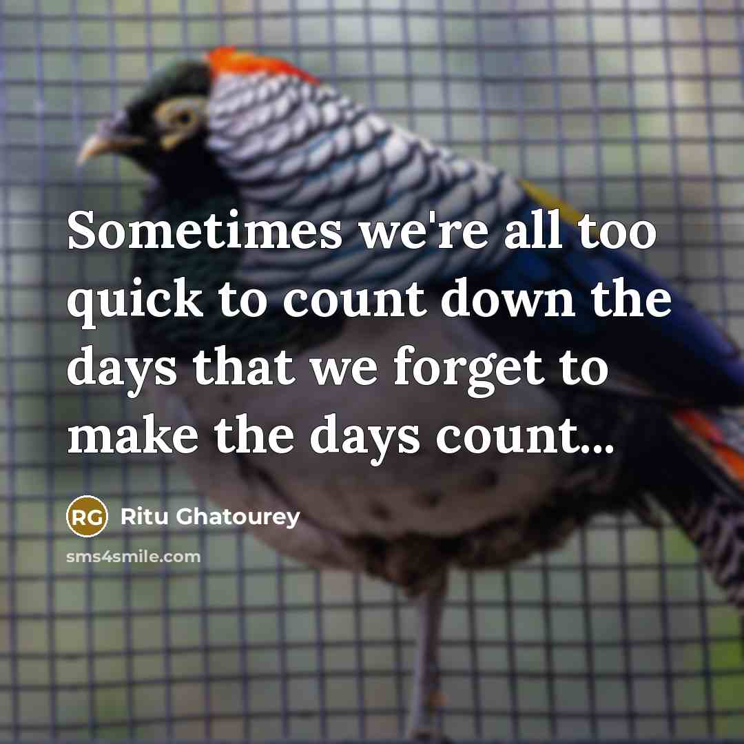 “Sometimes we're all too quick to count down the days…” quote by Ritu Ghatourey
