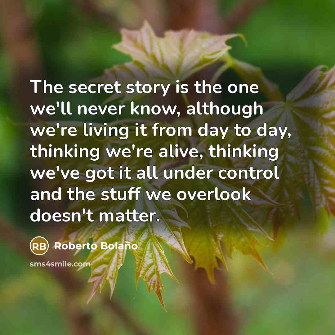 “The secret story is the one we'll never know, although…” quote by Roberto Bolano