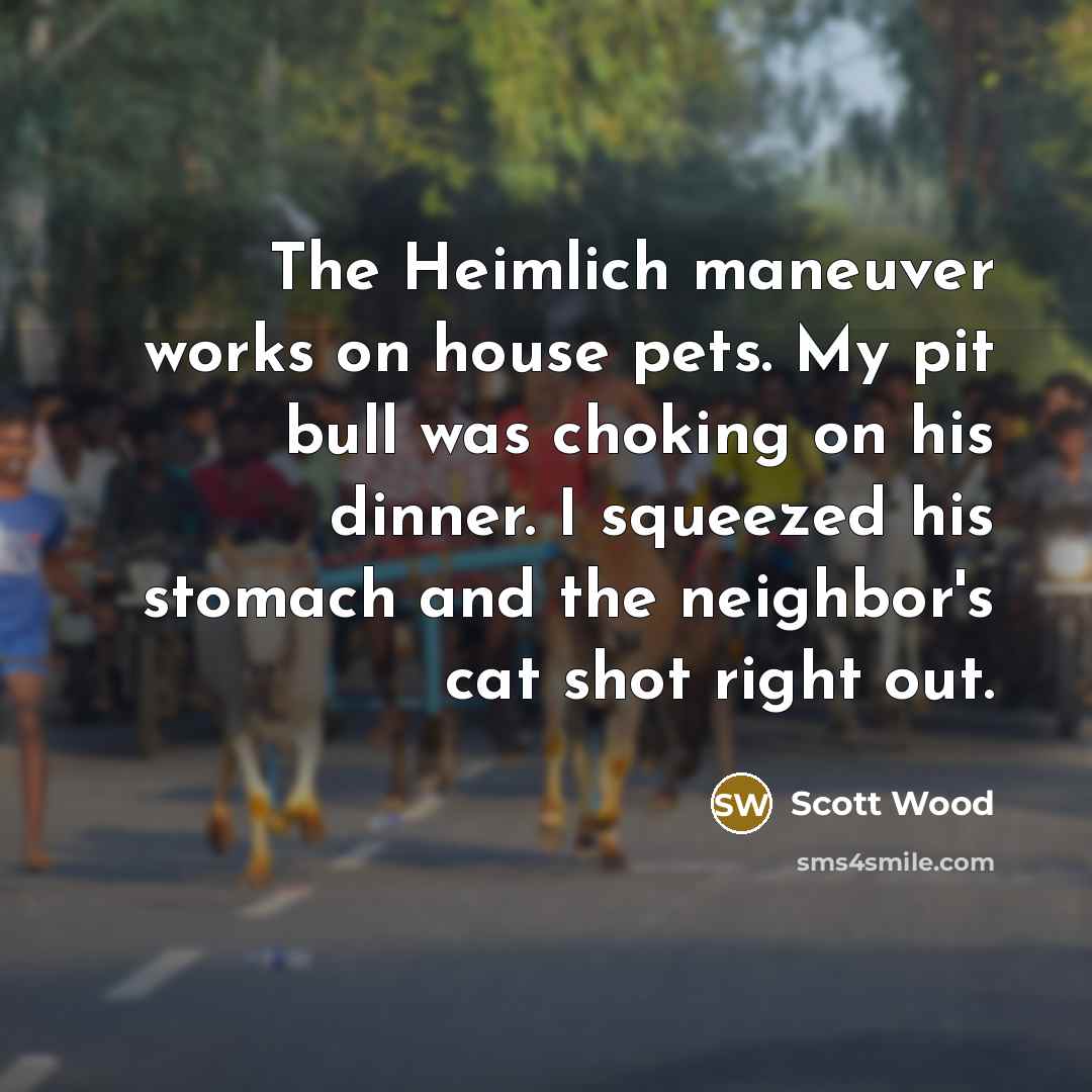 “The Heimlich maneuver works on house pets. My pit bull…” quote by Scott Wood