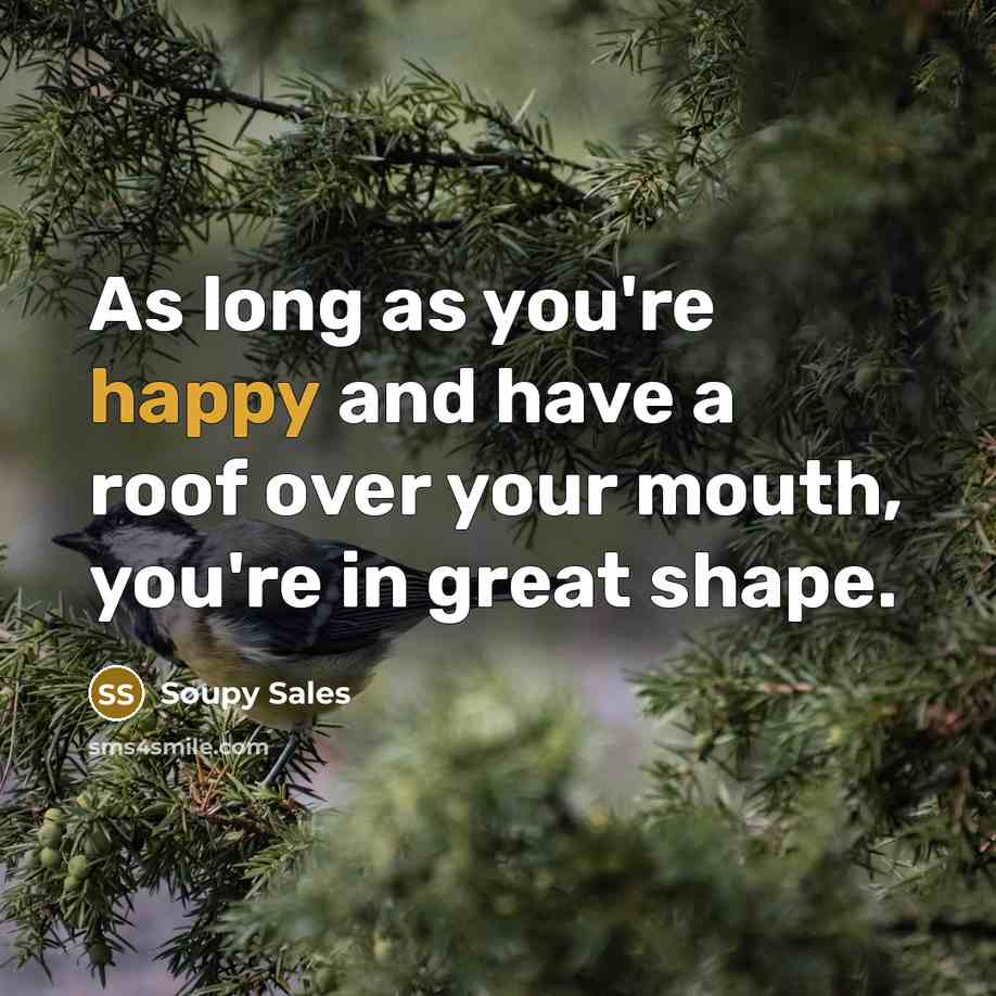 “As long as you're happy and have a roof over…” quote by Soupy Sales