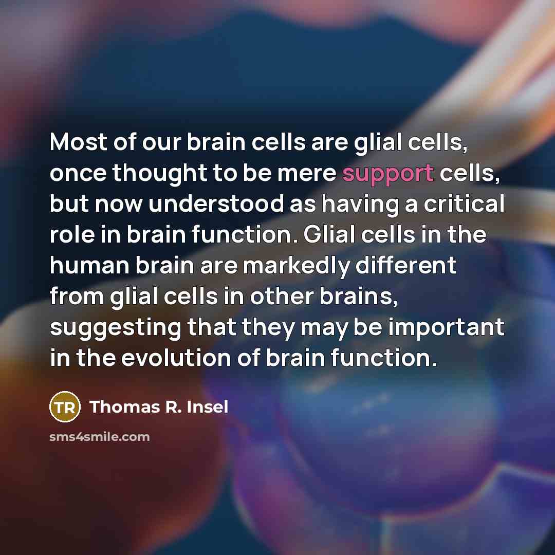 “Most of our brain cells are glial cells, once thought…” quote by Thomas R. Insel