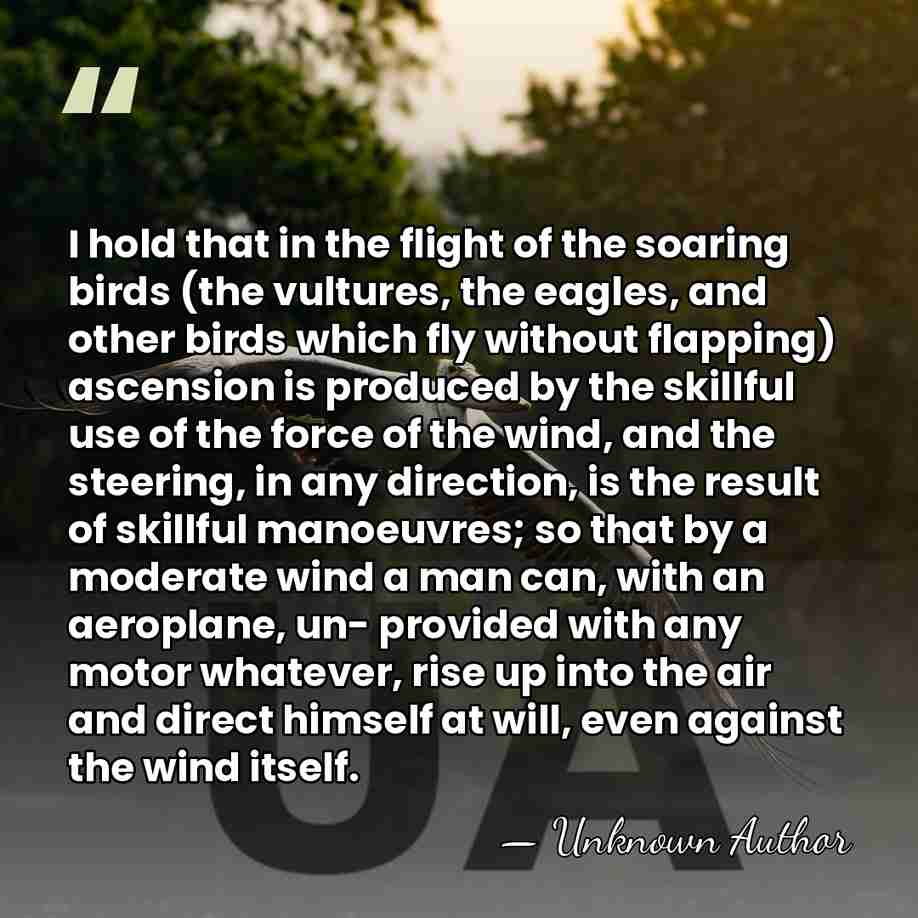 I hold that in the flight of the soaring birds (the vultures,&hellip; - Unknown Author