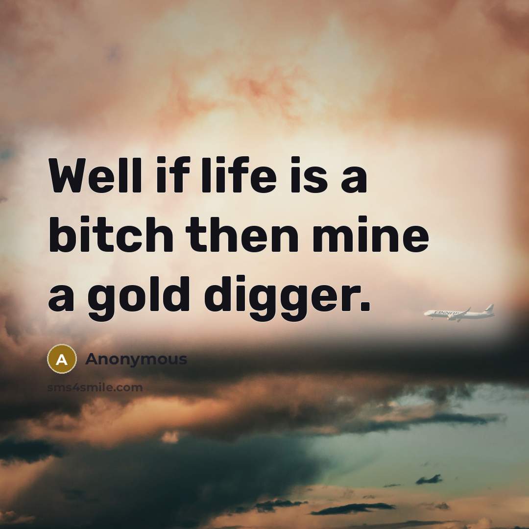 “Well if life is a bitch then mine a gold…” quote by Anonymous