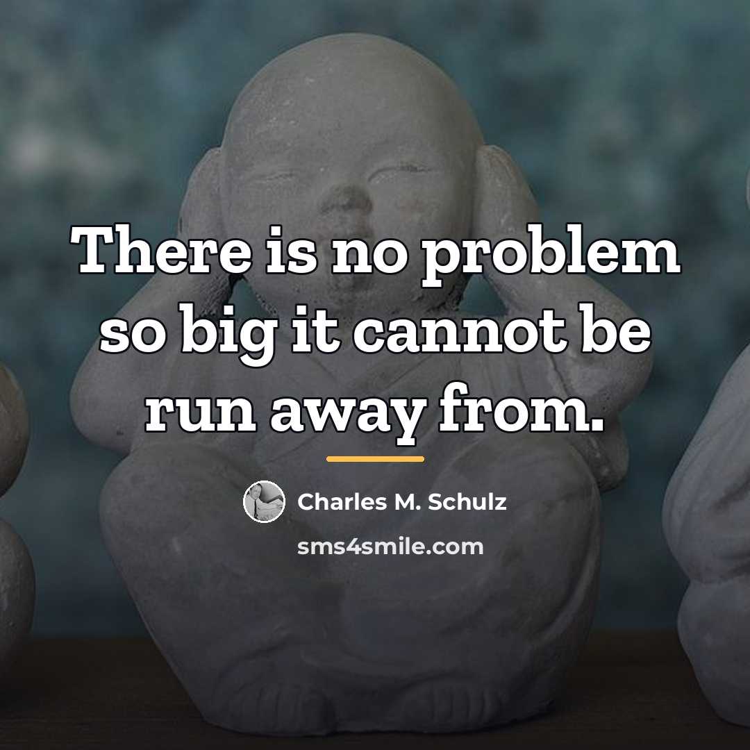“There is no problem so big it cannot be run…” quote by Charles M. Schulz