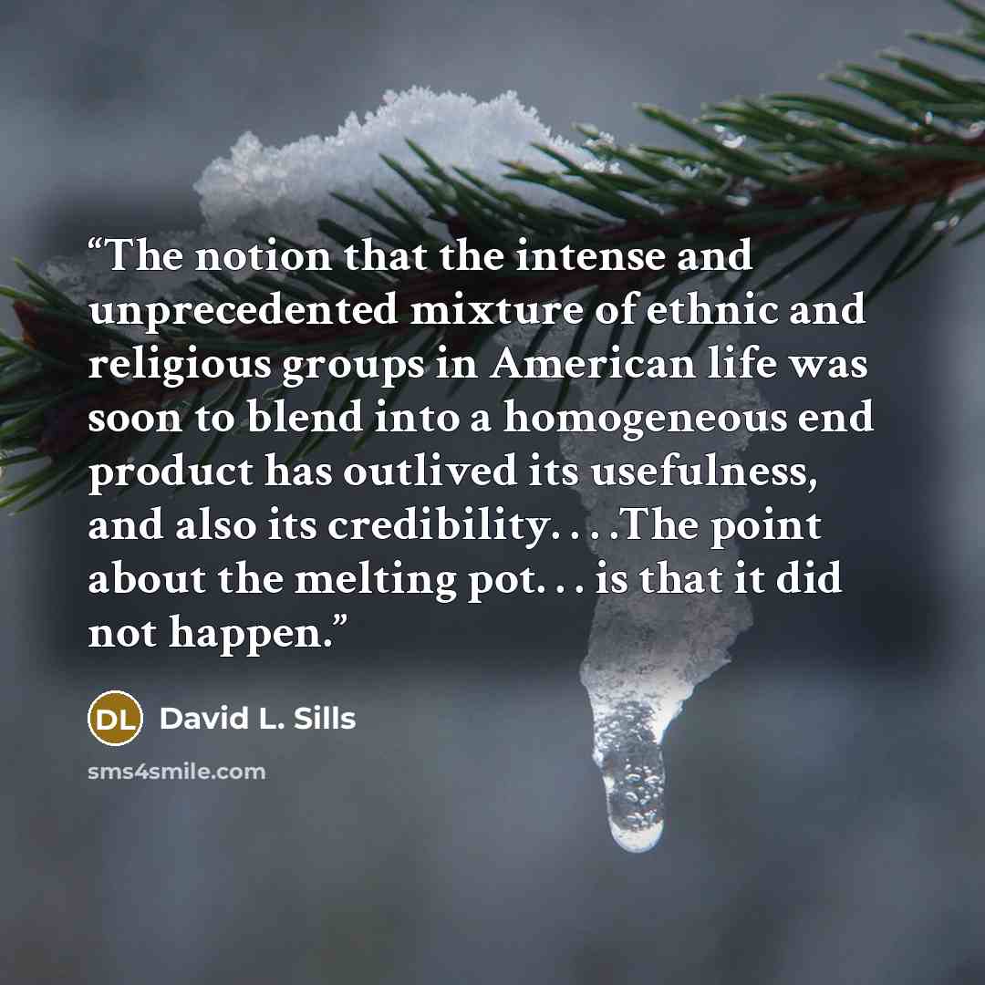 “The notion that the intense and unprecedented mixture of ethnic and religious groups in American life was soon to blend into a homogeneous end product has outlived its usefulness, and also its credibility. . . .The point about the melting pot. . . is that it did not happen.” quote by David L. Sills