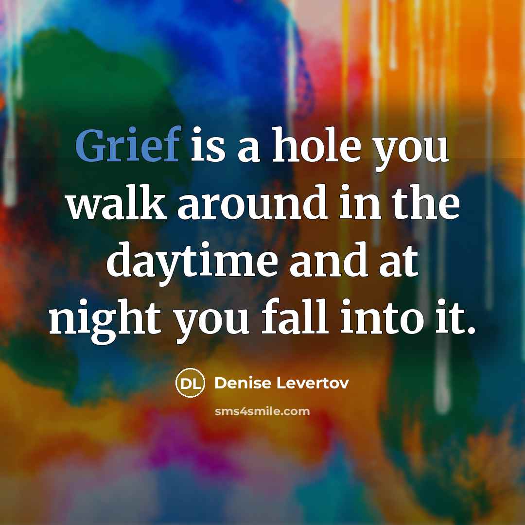 “Grief is a hole you walk around in the daytime…” quote by Denise Levertov