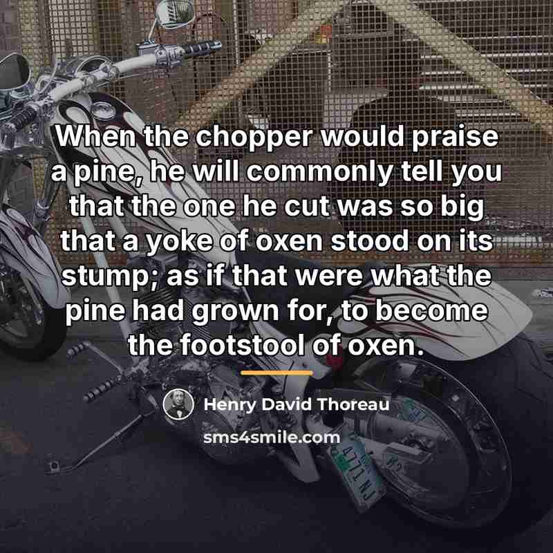 “When the chopper would praise a pine, he will commonly…” quote by Henry David Thoreau