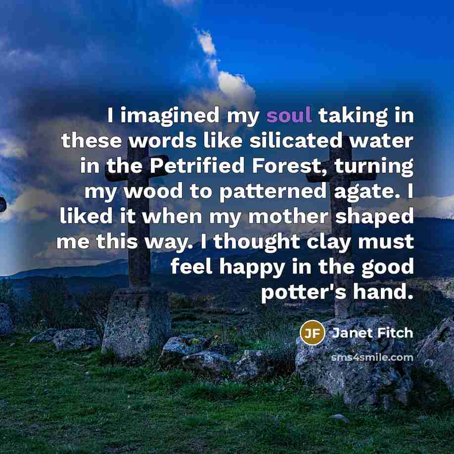 “I imagined my soul taking in these words like silicated…” quote by Janet Fitch