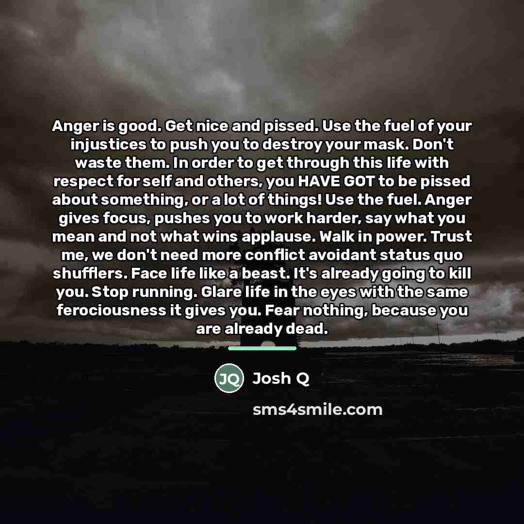 “Anger is good. Get nice and pissed. Use the fuel…” quote by Josh Q
