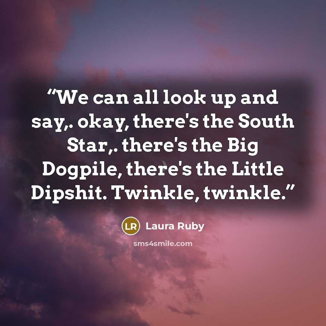 “We can all look up and say,. okay, there's the South Star,. there's the Big Dogpile, there's the Little Dipshit. Twinkle, twinkle.” quote by Laura Ruby