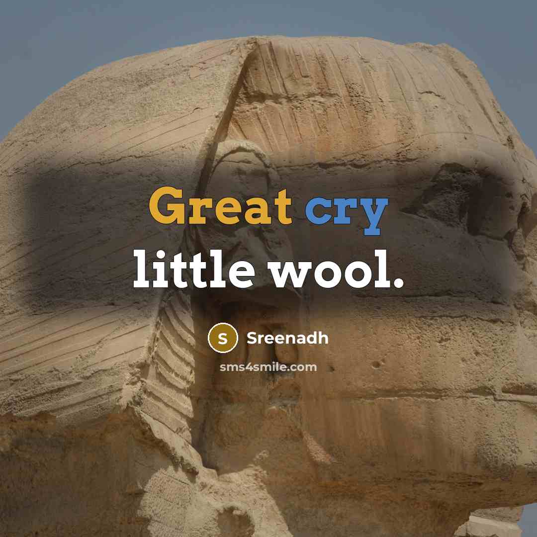 “Great cry little wool.” quote by Sreenadh