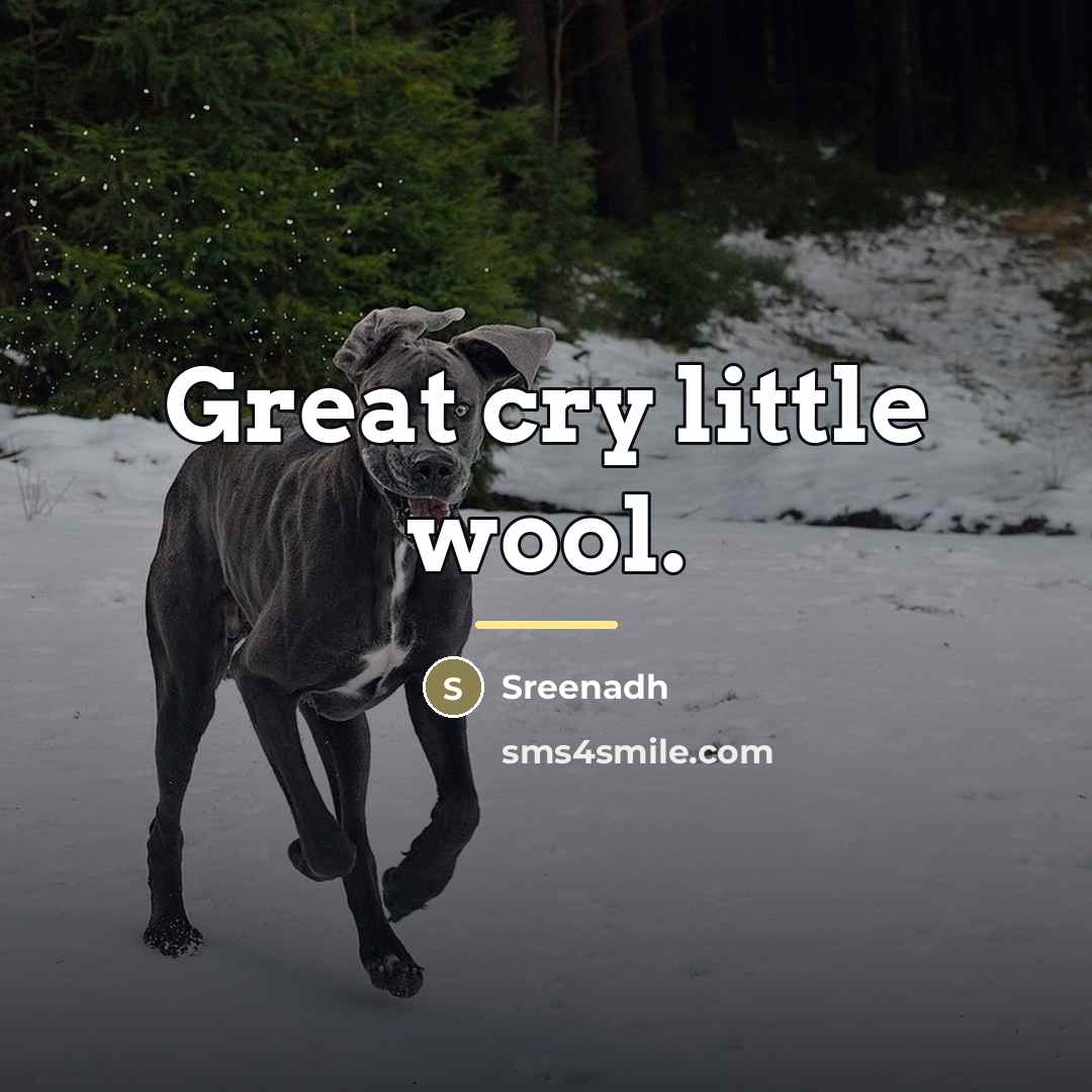 “Great cry little wool.…” quote by Sreenadh