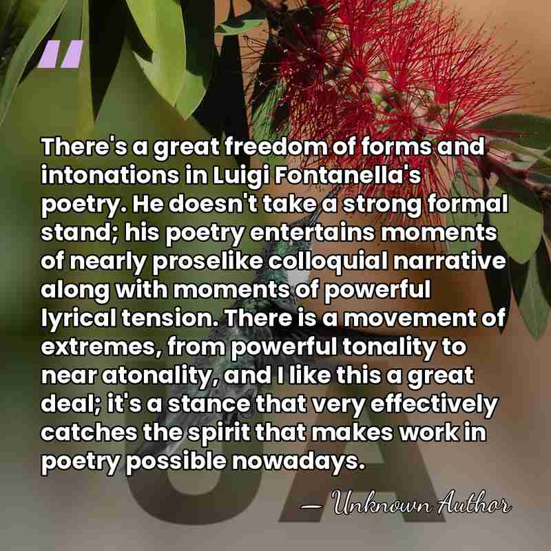 There's a great freedom of forms and intonations in Luigi Fontanella's poetry.&hellip; - Unknown Author