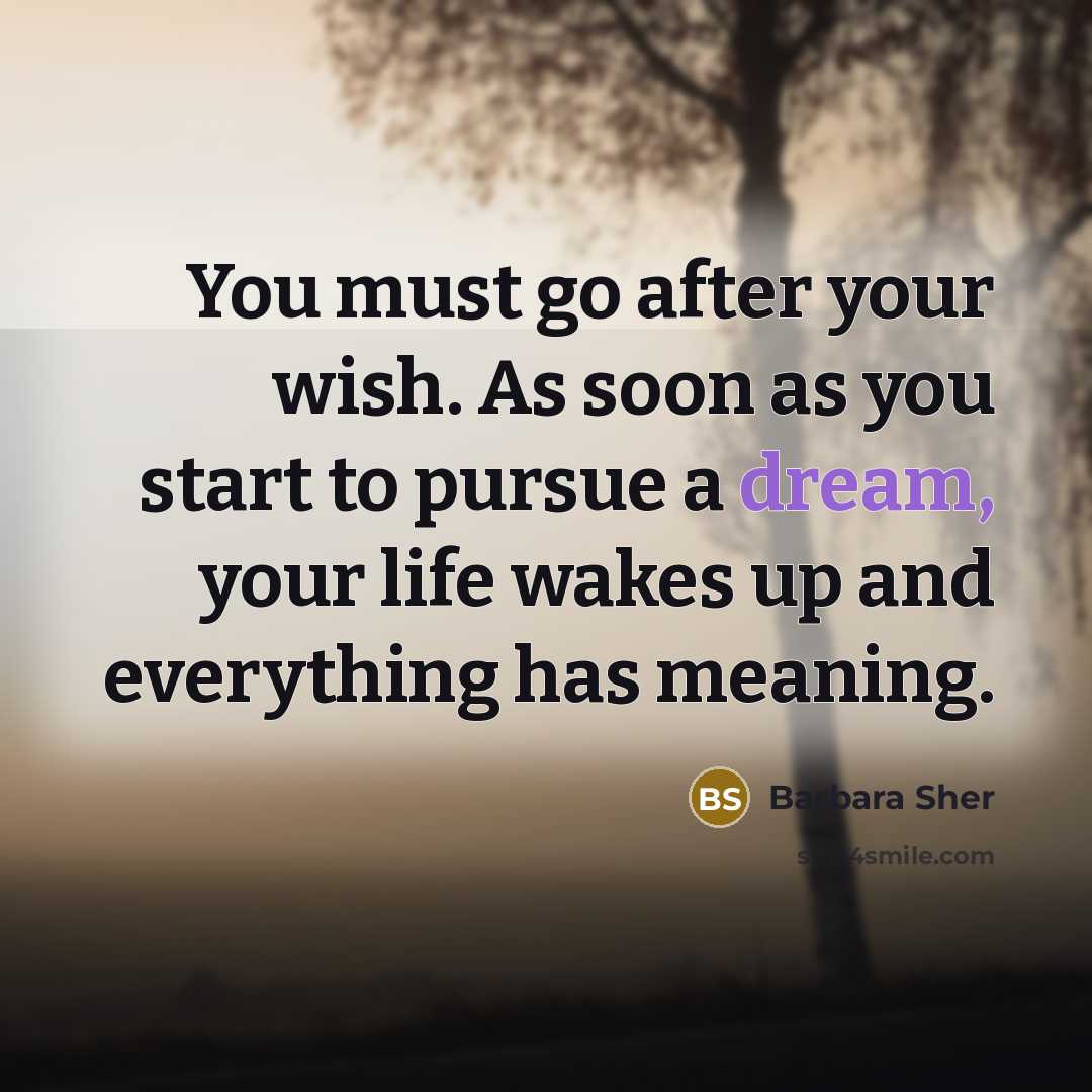 “You must go after your wish. As soon as you…” quote by Barbara Sher