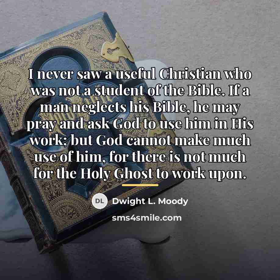 “I never saw a useful Christian who was not a…” quote by Dwight L. Moody