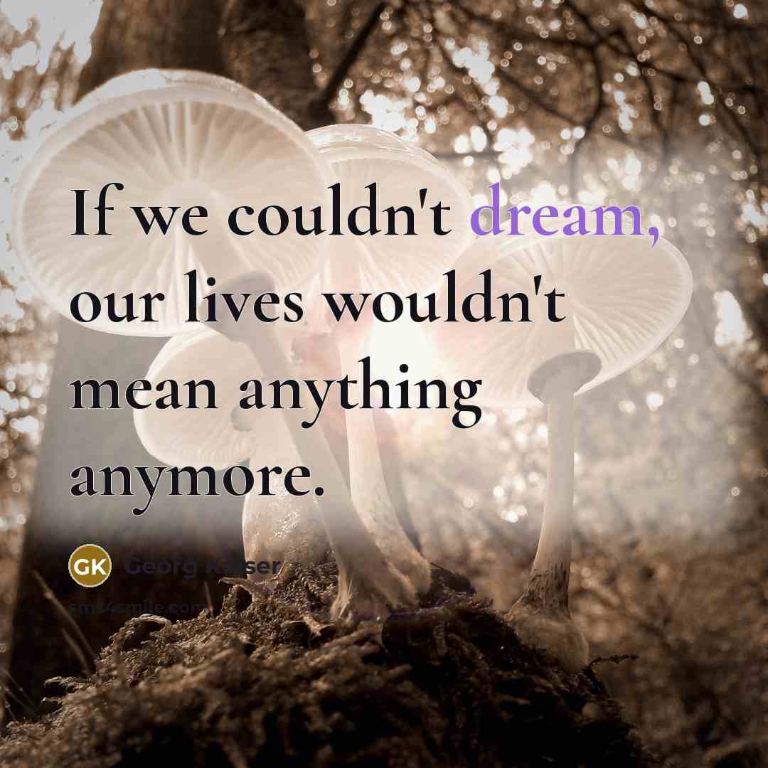 “If we couldn't dream, our lives wouldn't mean anything anymore.” quote by Georg Kaiser