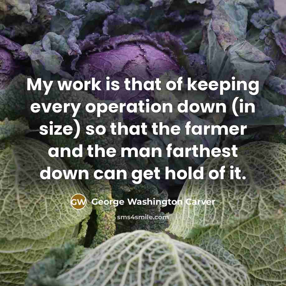 “My work is that of keeping every operation down (in…” quote by George Washington Carver