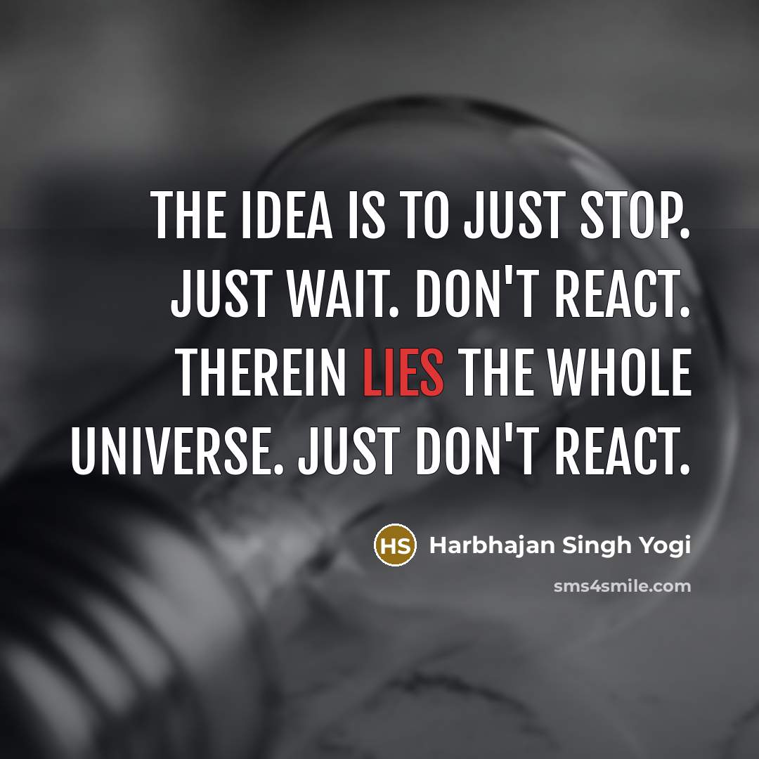“The idea is to just stop. Just wait. Don't react.…” quote by Harbhajan Singh Yogi