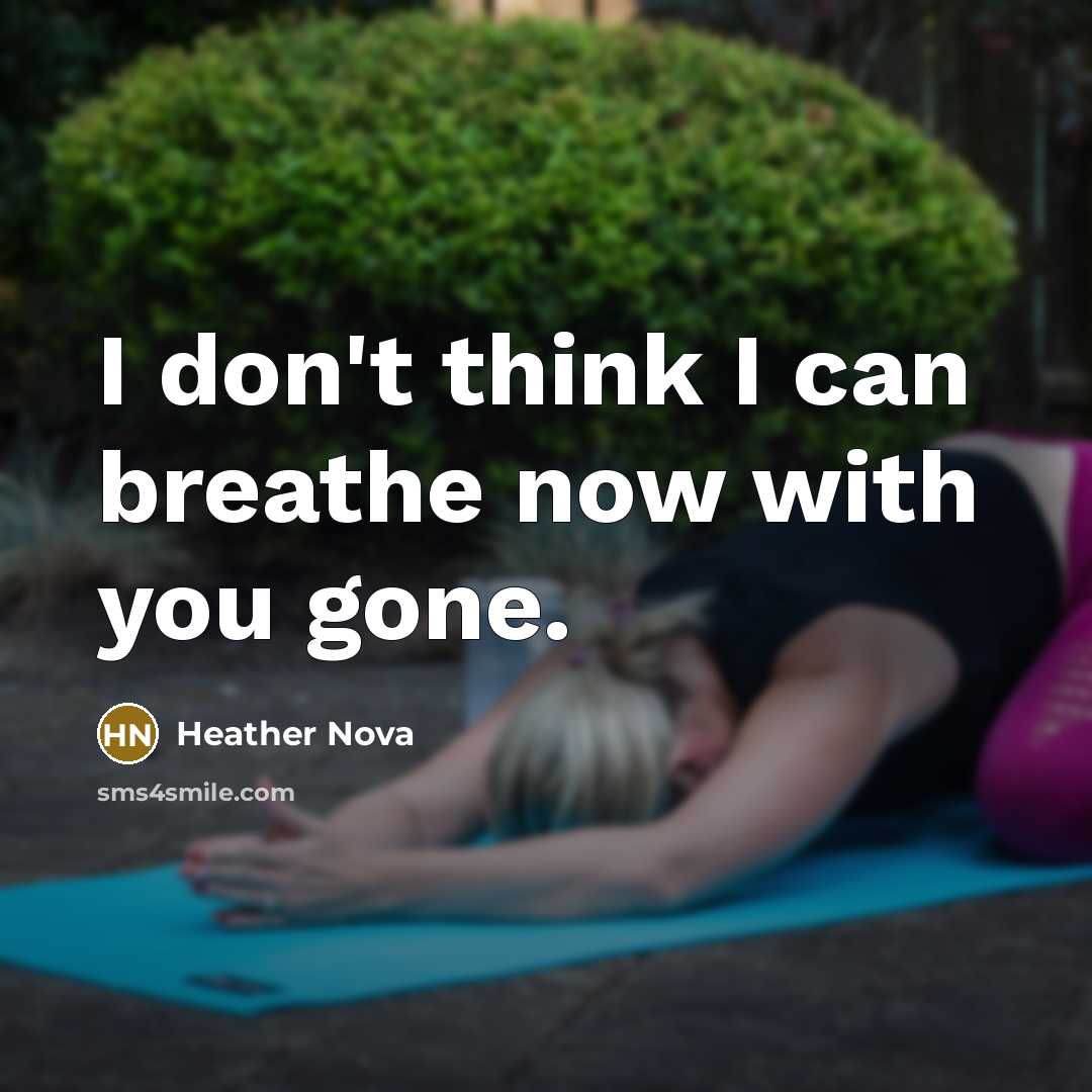 “I don't think I can breathe now with you gone.…” quote by Heather Nova