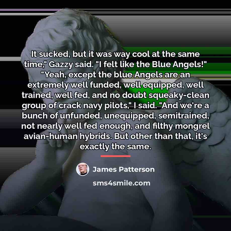 “It sucked, but it was way cool at the same…” quote by James Patterson