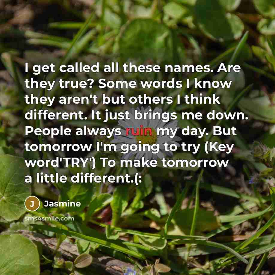 “I get called all these names. Are they true? Some words I know they aren't but others I think different. It just brings me down. People always ruin my day. But tomorrow I'm going to try (Key word'TRY') To make tomorrow a little different.(:” quote by Jasmine