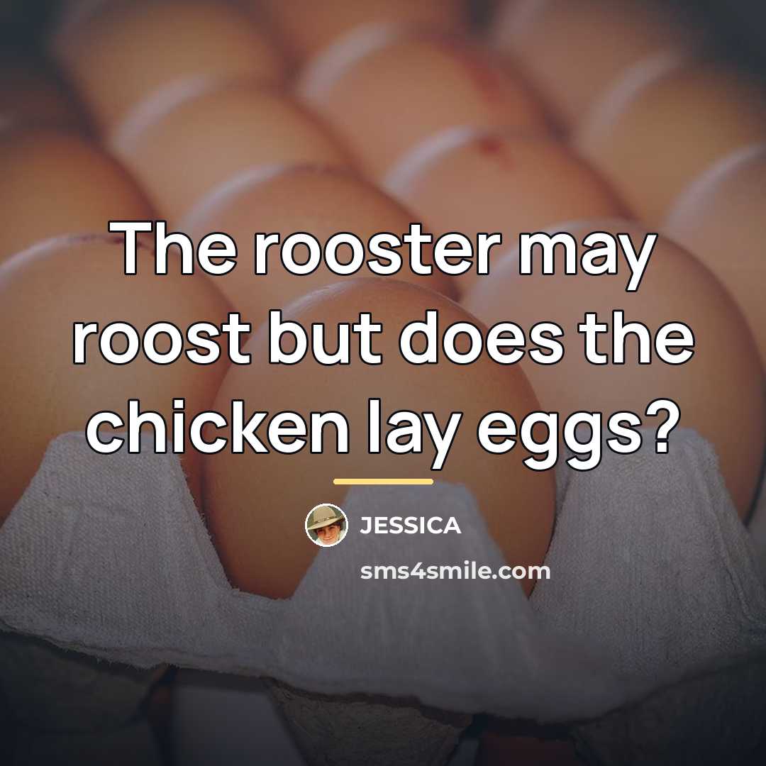 “The rooster may roost but does the chicken lay eggs?…” quote by Jessica