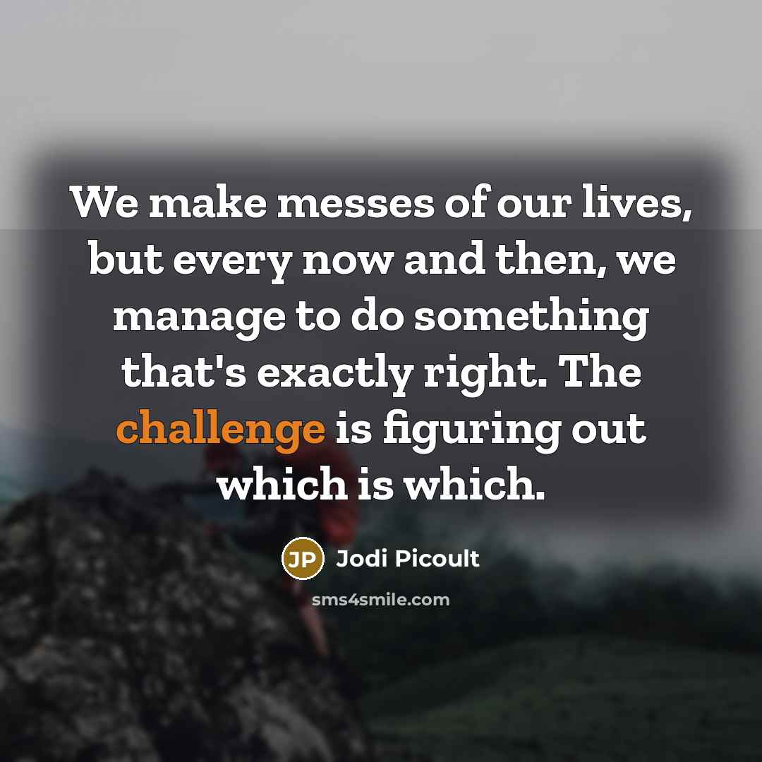 “We make messes of our lives, but every now and…” quote by Jodi Picoult