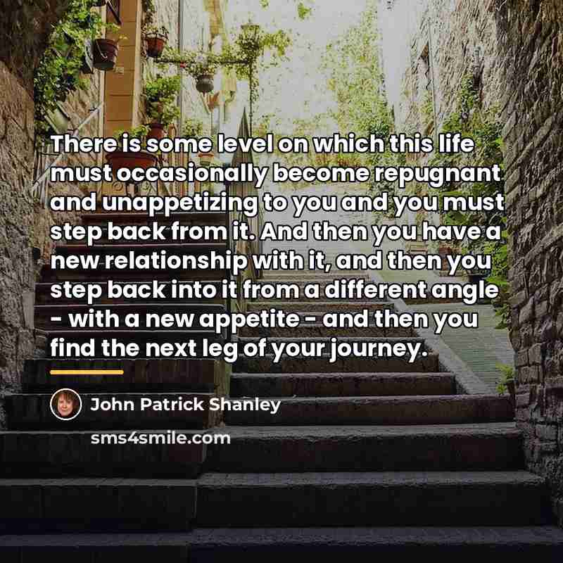 “There is some level on which this life must occasionally…” quote by John Patrick Shanley