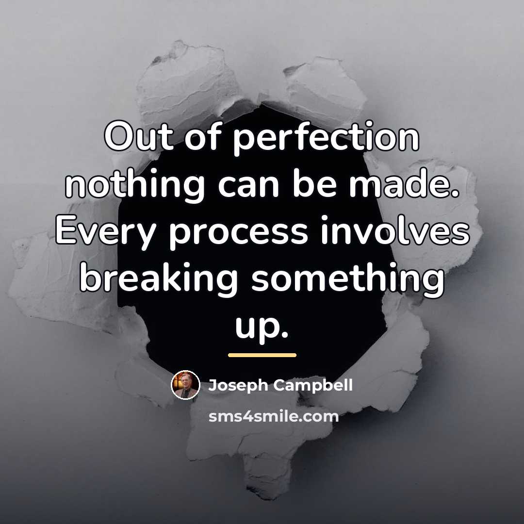 “Out of perfection nothing can be made. Every process involves…” quote by Joseph Campbell