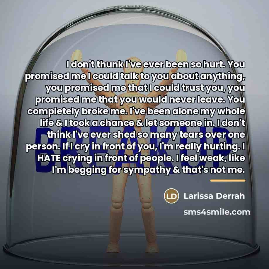 “I don't thunk I've ever been so hurt. You promised…” quote by Larissa Derrah