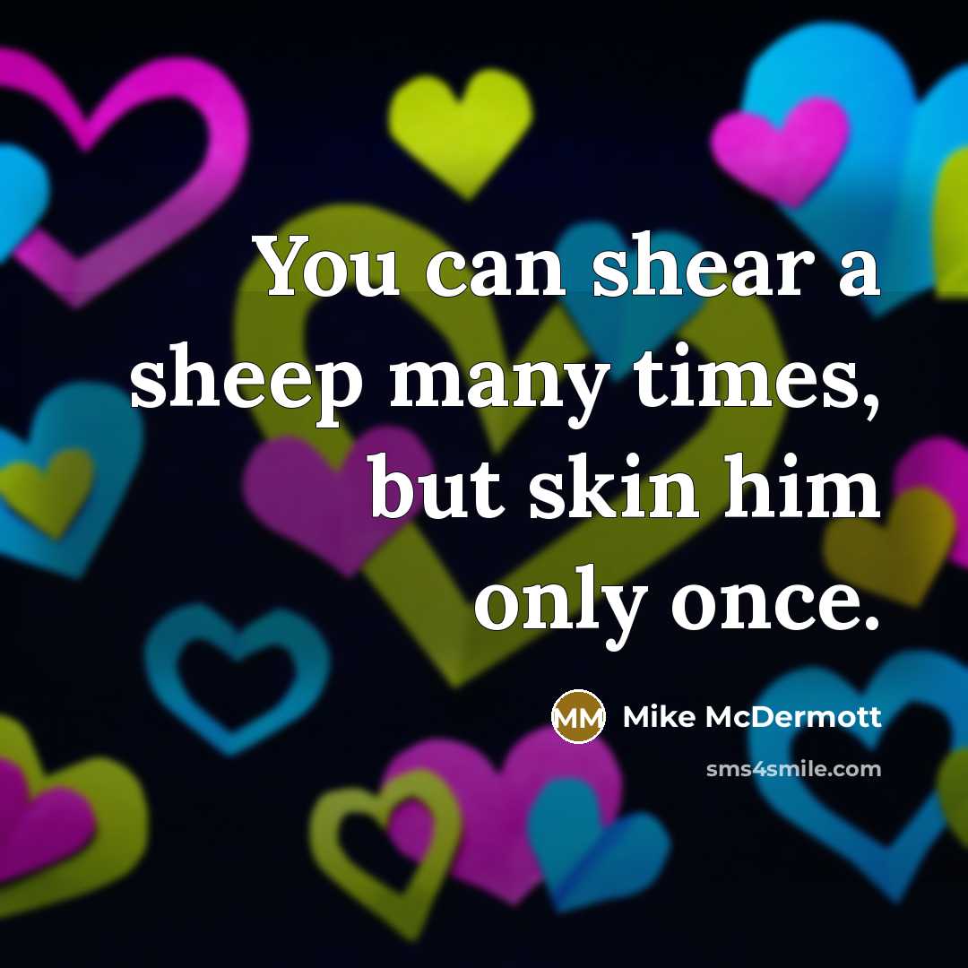 “You can shear a sheep many times, but skin him…” quote by Mike McDermott