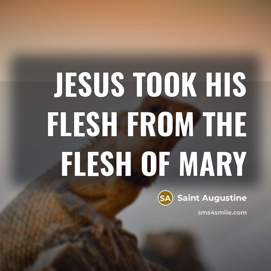 “Jesus took His flesh from the flesh of Mary…” quote by Saint Augustine