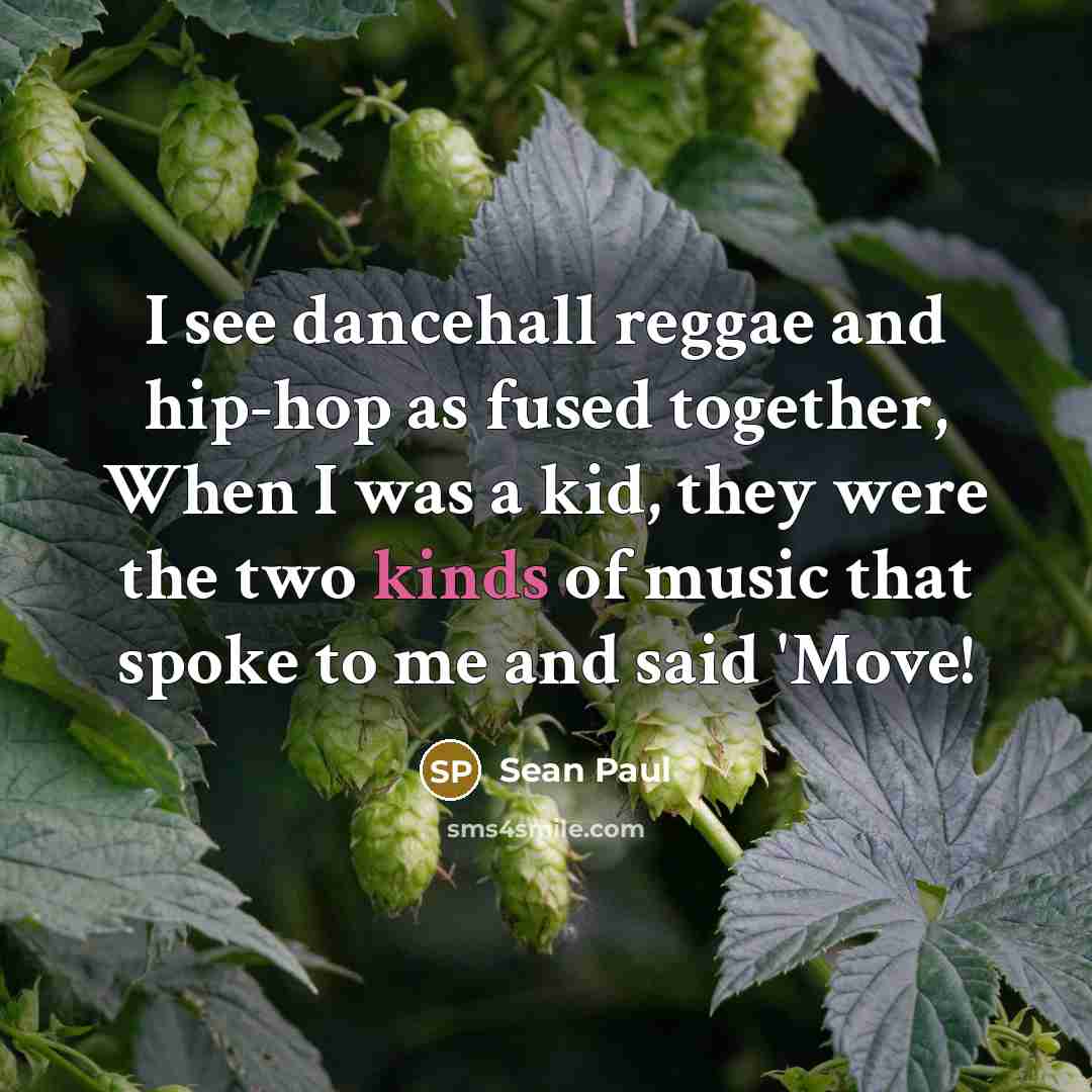 “I see dancehall reggae and hip-hop as fused together, When…” quote by Sean Paul