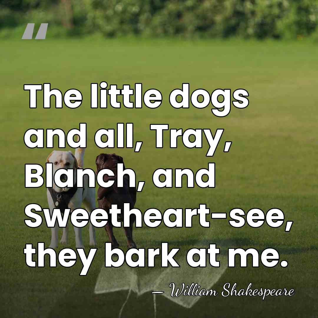 The little dogs and all, Tray, Blanch, and Sweetheart-see, they bark at&hellip; - William Shakespeare