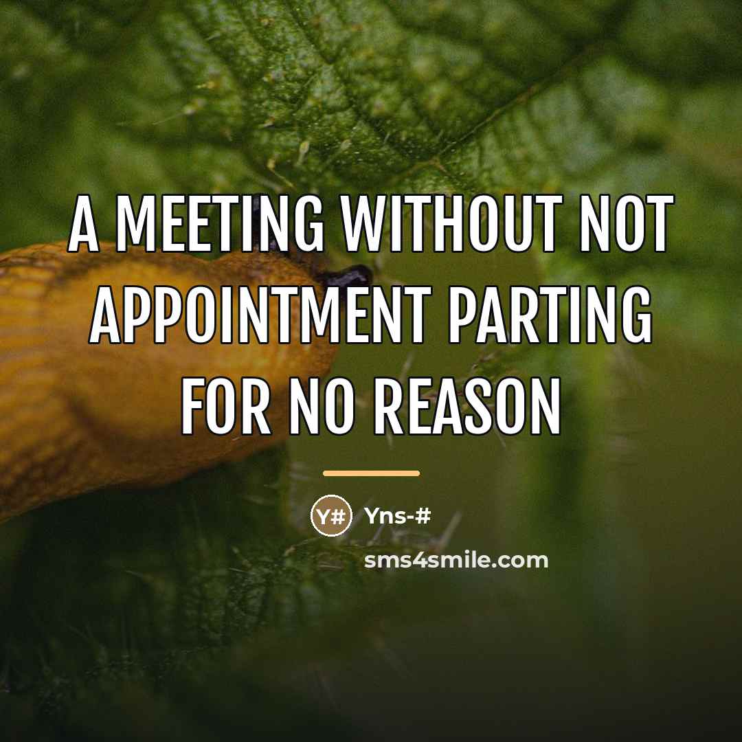 “A meeting without not appointment parting for no reason…” quote by Yns-#