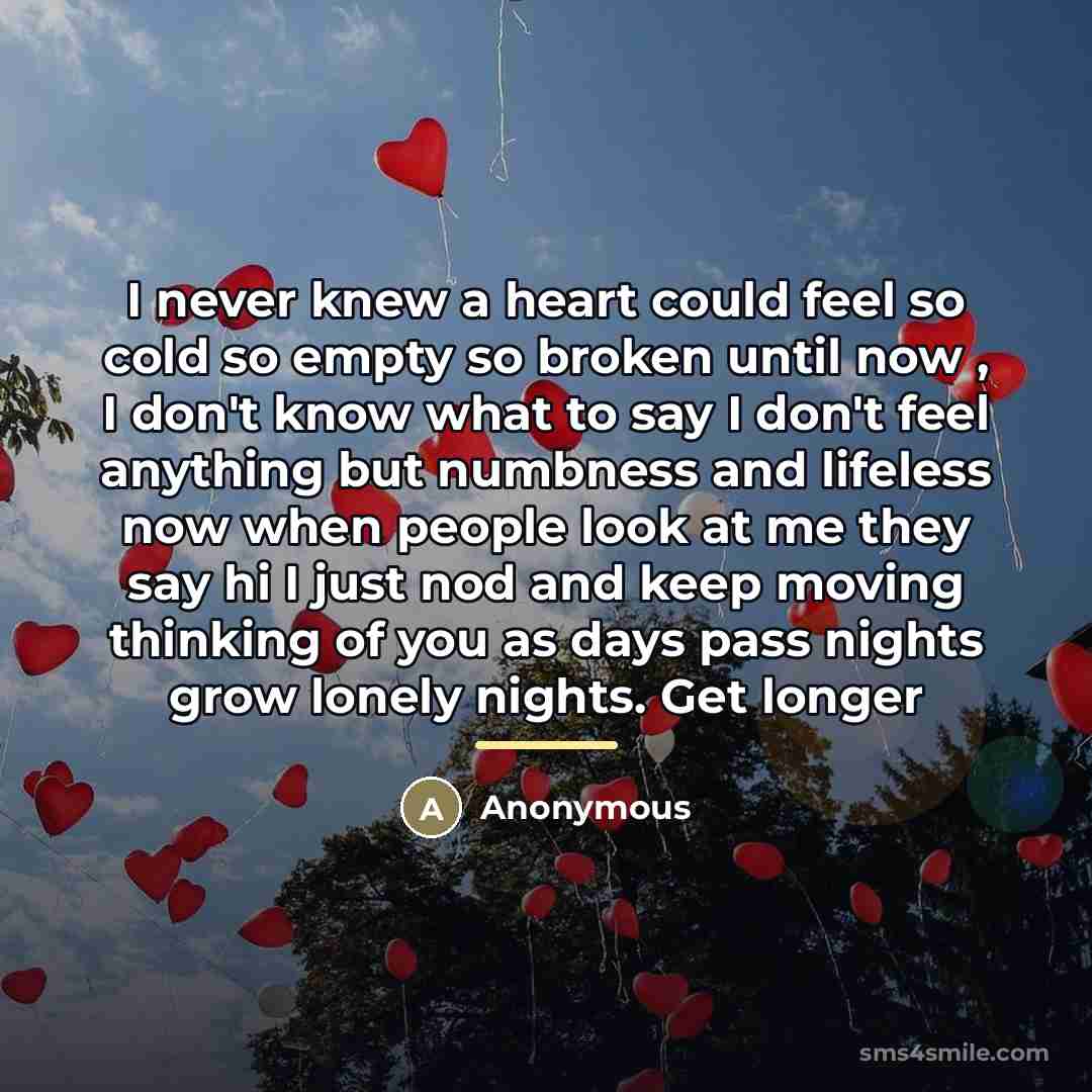 “I never knew a heart could feel so cold so…” quote by Anonymous