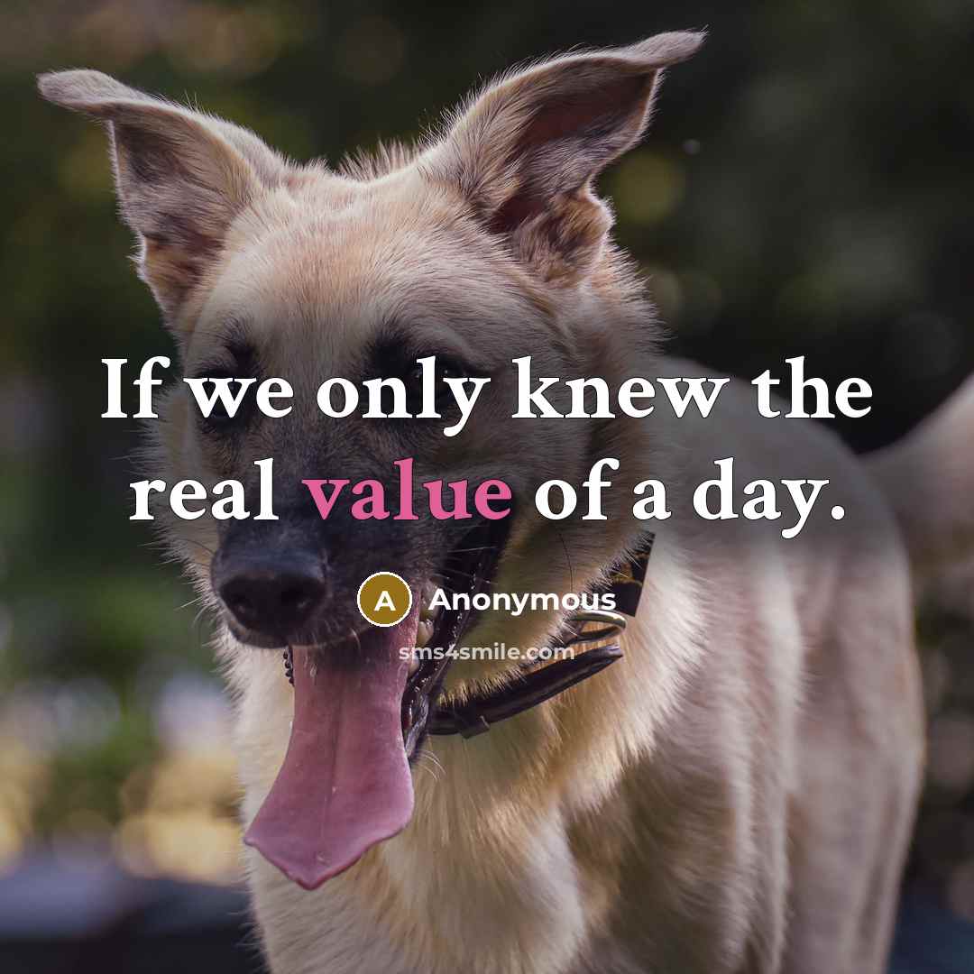 “If we only knew the real value of a day.…” quote by Anonymous